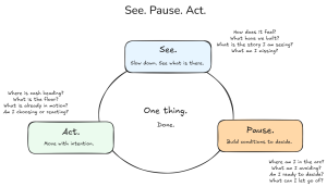See. Pause. Act. framework for cash decisions